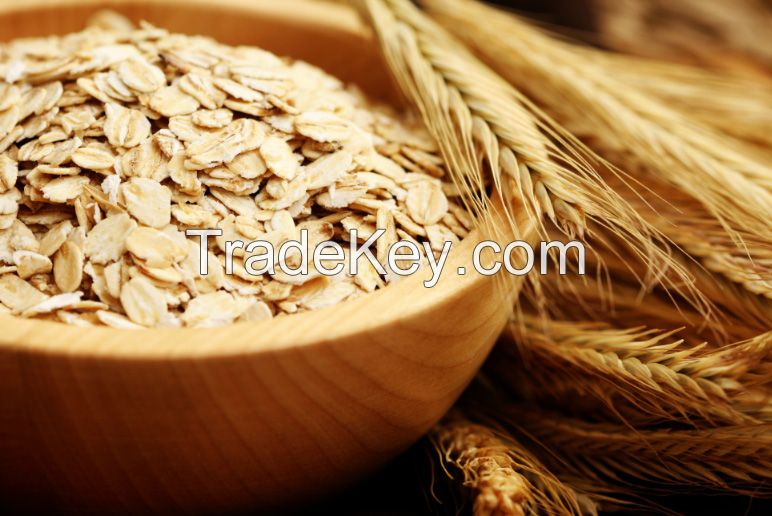 Rolled Oats ,Oats Flakes, Oats Flour Hulled Oats