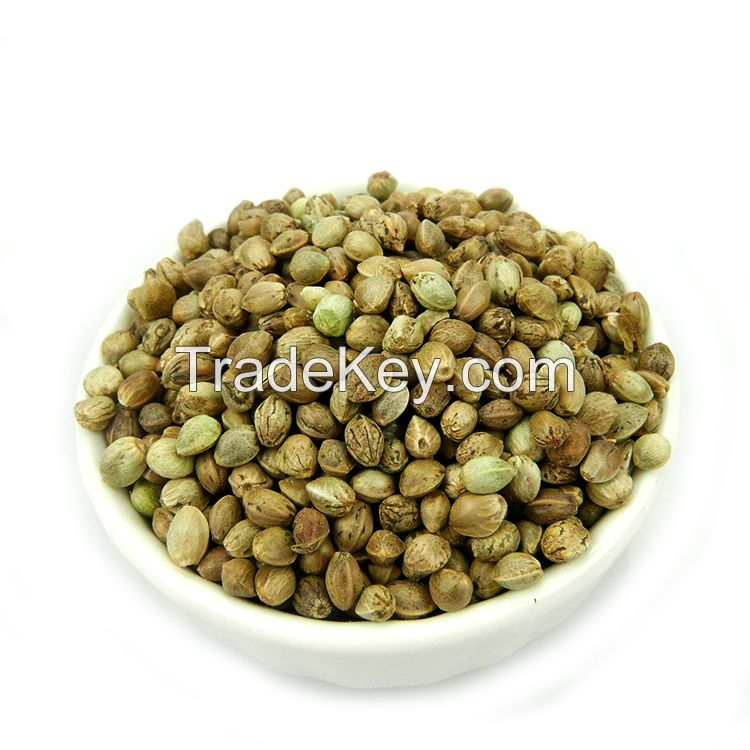 Hemp seed Available in Stock