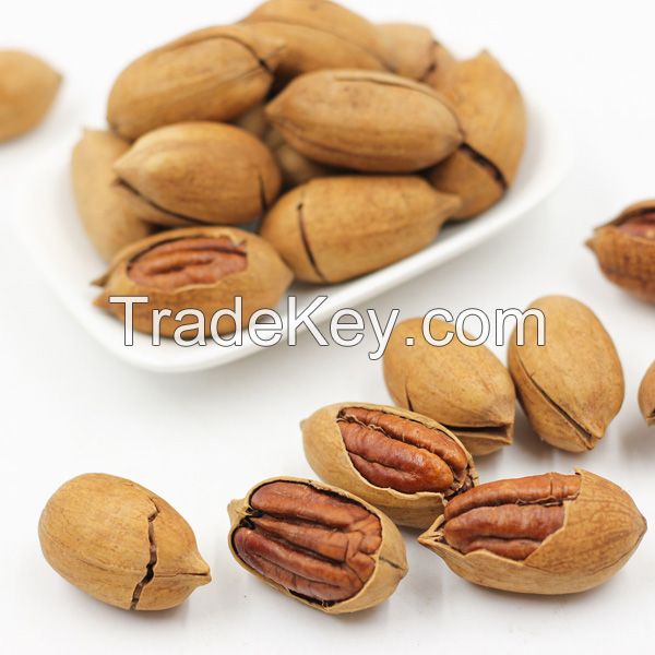 Organic Dry Nuts for Peacan Nut