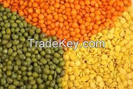 Green Mung Beans , Red lentils, Chick peas kabuli and desi