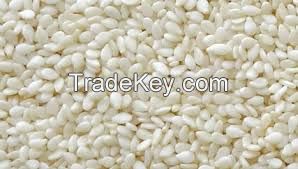 Sesame Seeds