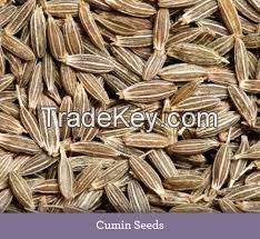 Cumin Seeds