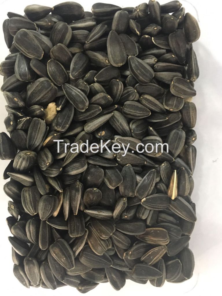  sunflower oil seeds 