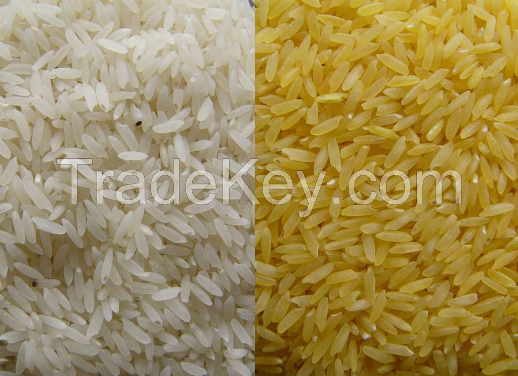 Rice