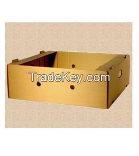 Corrugated Carton Fruit box / Vegetable tray