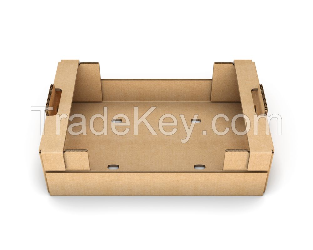 Corrugated Carton Fruit box / Vegetable tray