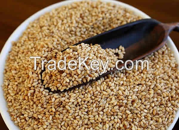 Sesame Seeds