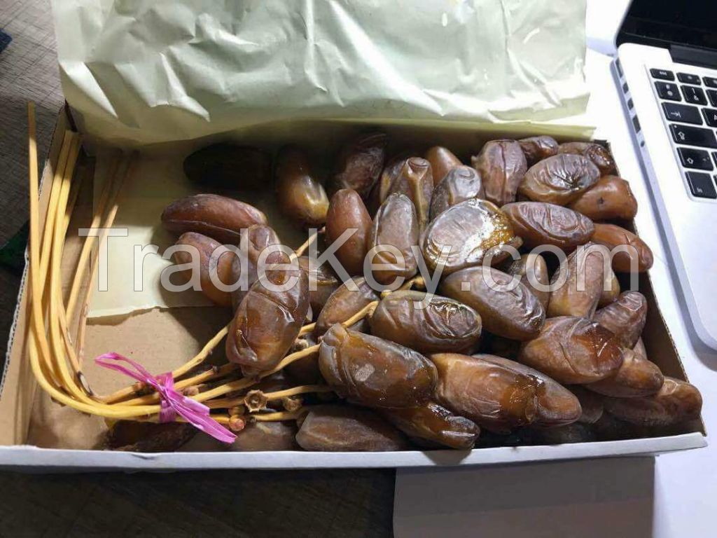 Deglet nour  fresh algerian dates