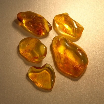 Baltic Amber Jewelry