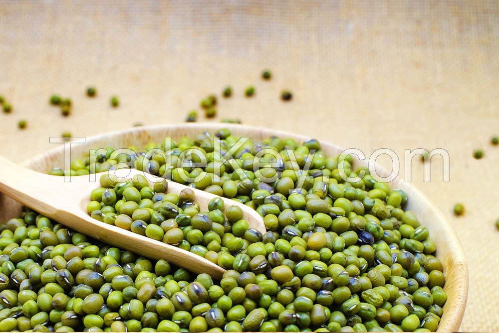 Mung Beans