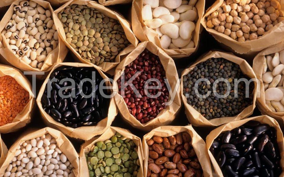 Top Quality Kidney Beans, Black Beans, Lentils, Chickpeas, Mung Beans, Soybeans Available