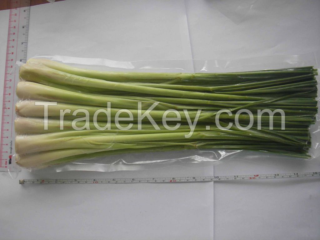 Vietnamese Frozen Lemon Grass