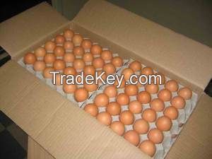 Fresh chicken brown and white table eggs