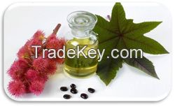 First Special Grade Castor Oil