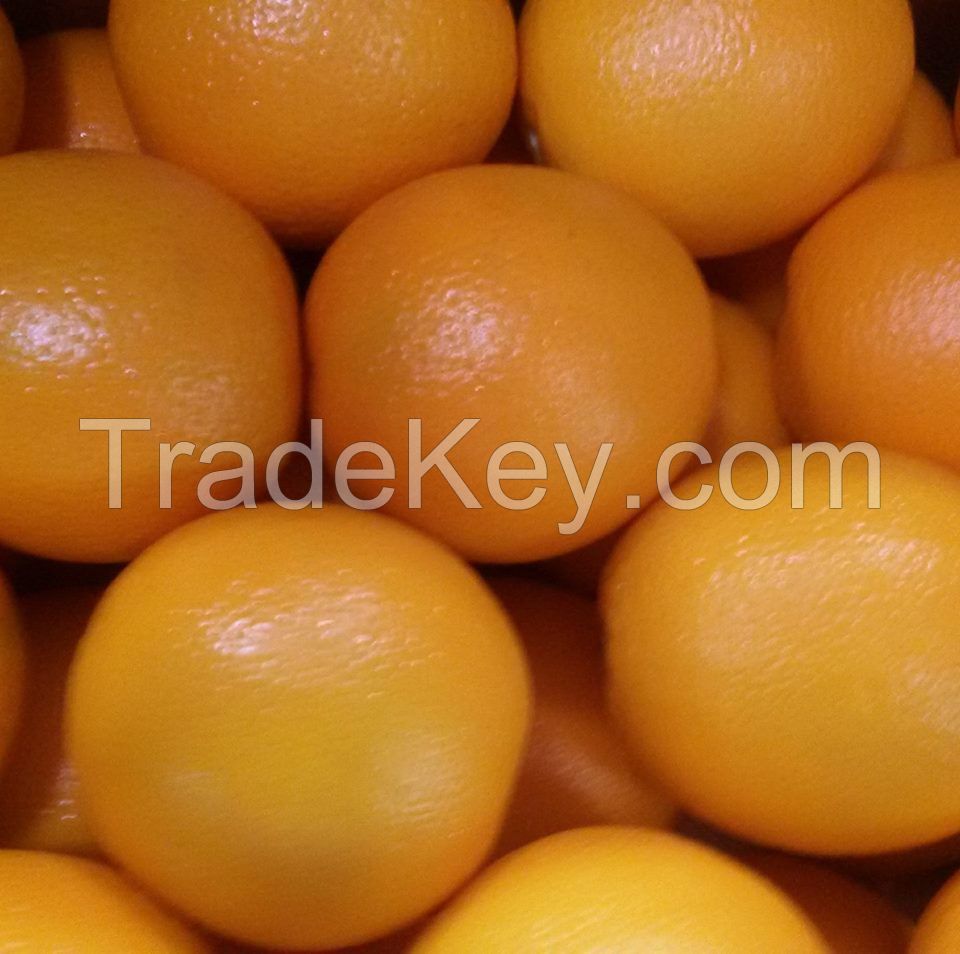 Fresh Navel Oranges, valencia, Mandarin, Tangerine, Lemons, Clementine, citrus fruits, limes, quince, grapefruit, all fruits