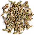 Fennel Seeds