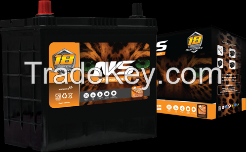 NS Automotive Battery