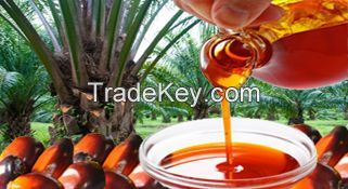 High Quality Crude Palm Oil