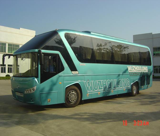 city bus,mini bus, tour bus , intercity bus