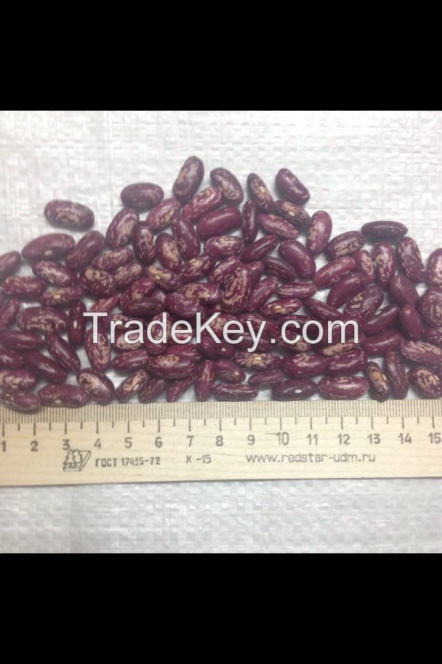 Red speckled kidney beans
