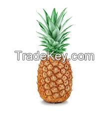 Fresh Pineapples