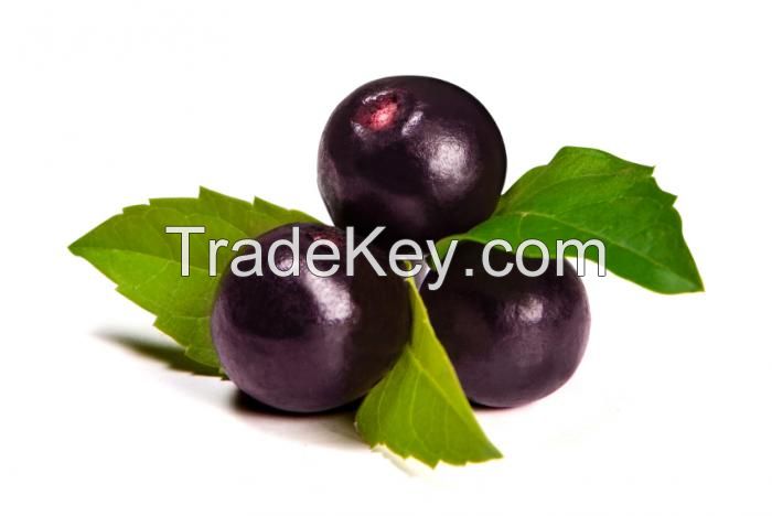 Purple Berry Organic acai