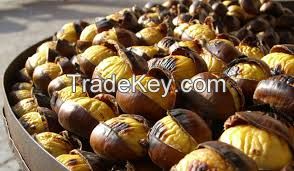 chestnuts