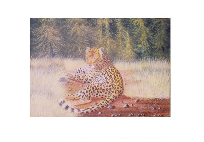 Real painting leopard oil painting on canvas artist art