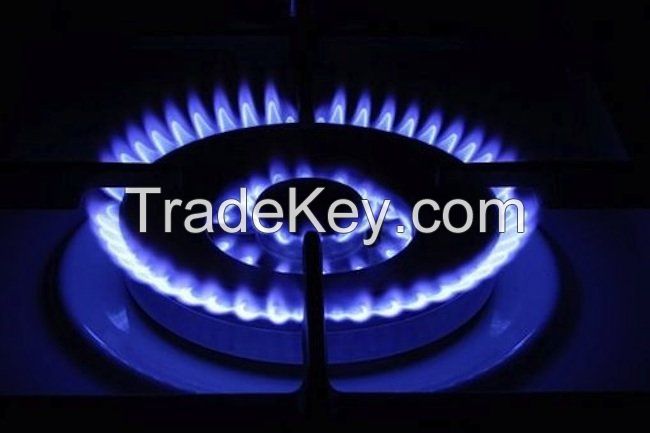 Natural Gas and Petroleum Gas