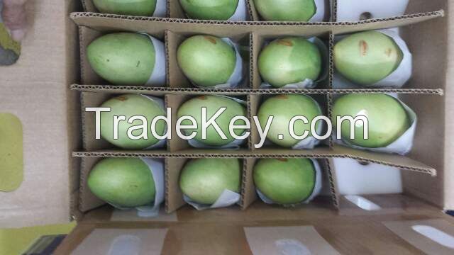 Fresh Mangoes (HK GRADE/HONG KONG GRADE)