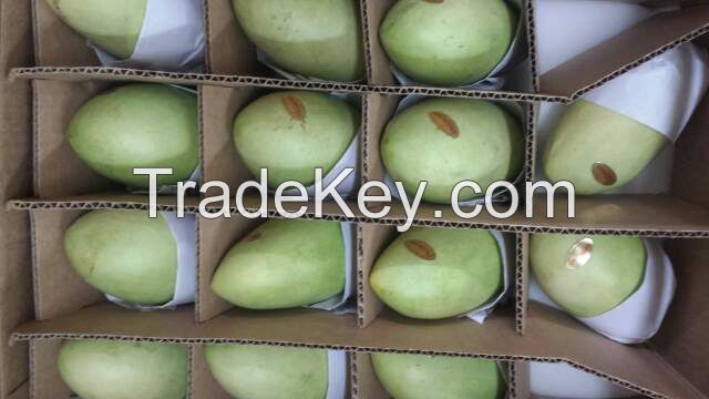 Fresh Mangoes - Quality Mangoes (Vapor Heat Treated)