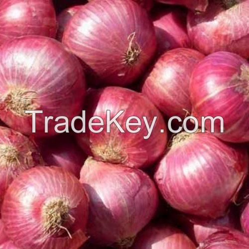 Onion