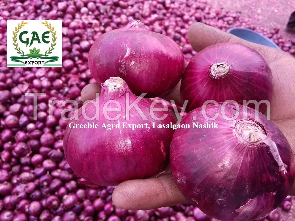 Old Export Quality Lasalgaon Nashik Onion
