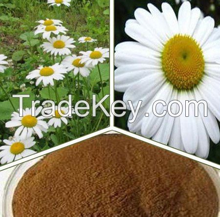 Pyrethrum powder from kenya