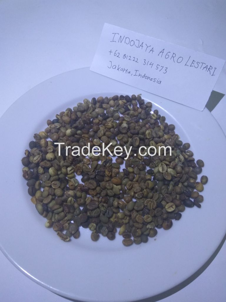 Indonesia Arabica Bajawa Green Coffee Beans from Nusa Tenggara Timur