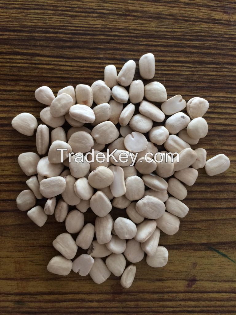 Tamarind White Kernel