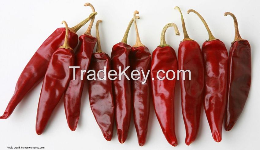 Dundicut Whole Chilli,Dry Red Chilli Dundicut Whole Round Stemless Chilli