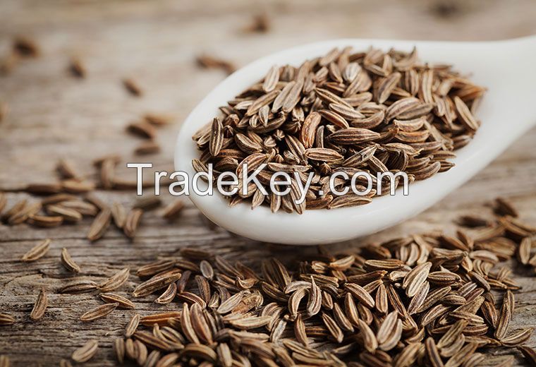 Indian Cumin Seeds