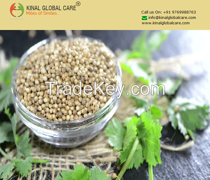 Best Quality Indian Coriander Seeds