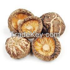 organic dried shiitake mushroom