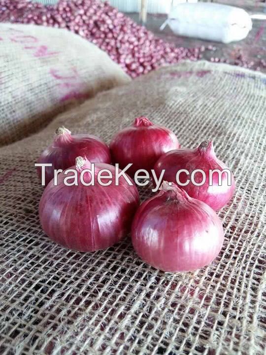 Fresh Indian Red Onion