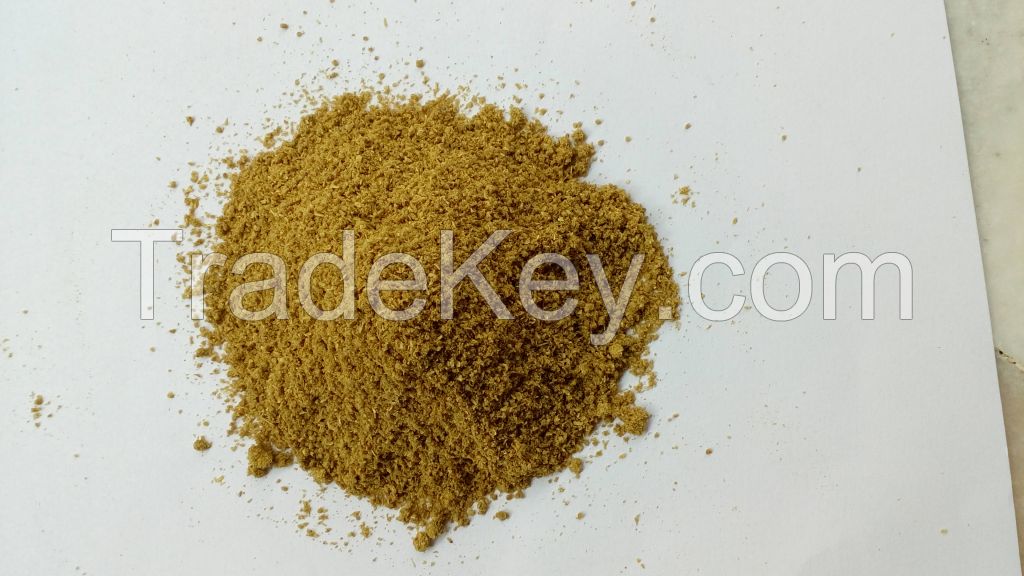 Best Quality Coriander Seed Powder From India
