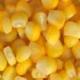 Maize | Maize Exporter | Corn Grain Seller | Maize Buyer | Bulk Maize Grain Importer | Corn bean Buyer | Corn bean Wholesaler | Corn Grain Manufacturer | Best Quality Corn Grain | Cheap Maize Supplier | Low Price Corn | Yellow Corn | White Cron | Baby Mai