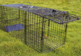 sell animal trap