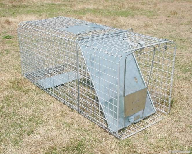 collapsible dog cage