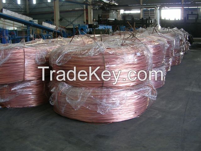  Copper Cathode $ Copper Milberry Scrap, Stainless Steel Scrap, Aluminum Scrap 