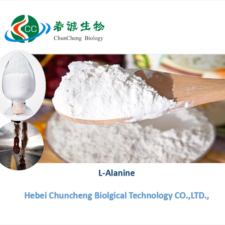 High quality glycine powder