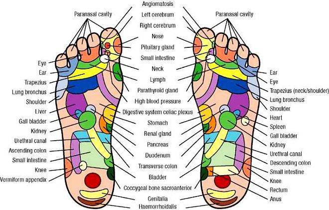 Biologic Electromagnetic Wave Foot Massager