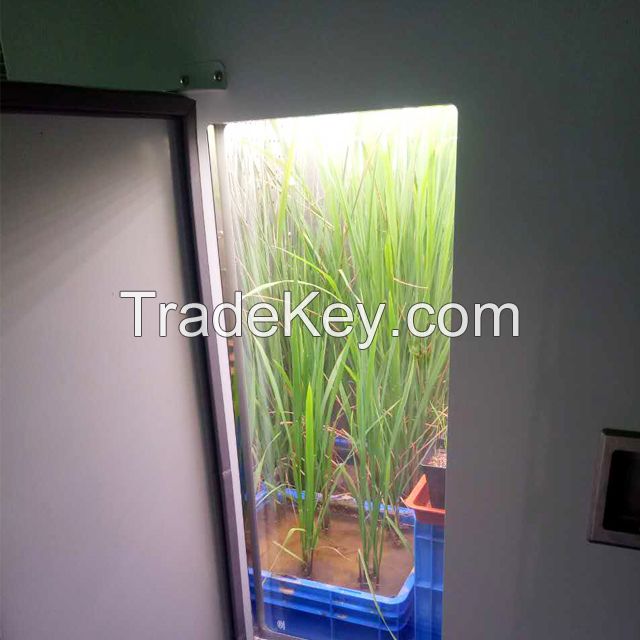 Plant Growth Incubator with High Intensity LED Solution for Plant Growth on Agricultural Science Research