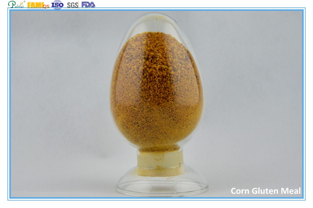 choline chloride corn cob feed grade